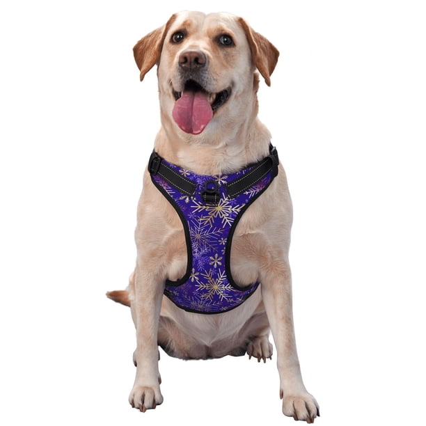 Balery blue purple Snowflake Arnés para Perros Grandes Antitirones, Arnés con Correa para Gato, Arnés Tipo Chaleco para Perros Pequeños-Large