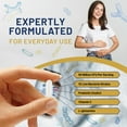 thumbnail image 5 of Bio Cultures Complex Probiotics and Prebiotics - 50 Billion CFU - 10 Live Bacteria Strains – Added with Inulin, L-Glutamine & Vitamin C - 60 Capsules | Advanced Probiotic for Women & Men by Prowise, 5 of 5