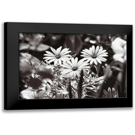 OMara, James 14x11 Black Modern Framed Museum Art Print Titled - Americana
