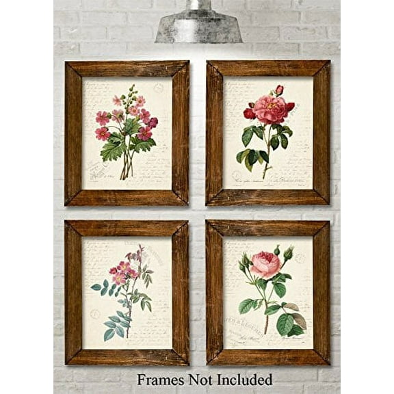 Paris Botanicals Art Prints - Set of Four Photos (8x10) Unframed - Great for Bedroom/Bathroom Decor