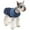 Blue, variant on HQREA Winter Warm Dog Coat for Italian Greyhound Lightweight Dog Snow Jacket for Whippet Dogs