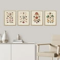 thumbnail image 3 of PixonSign Framed Wall Art Old-World Shell Collection Maritime Themed Posters, Set of 4 Classic Vintage Seaside Canvas Prints, Retro Nature Landscape Prints Wall Décor for Home - 12"x16" Natural, 3 of 5