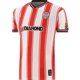 thumbnail image 3 of Camiseta de local de la GAA de Louth 2024, camiseta de rugby para hombre, talla: S-5XL (nombre y número personalizados), 3 of 5