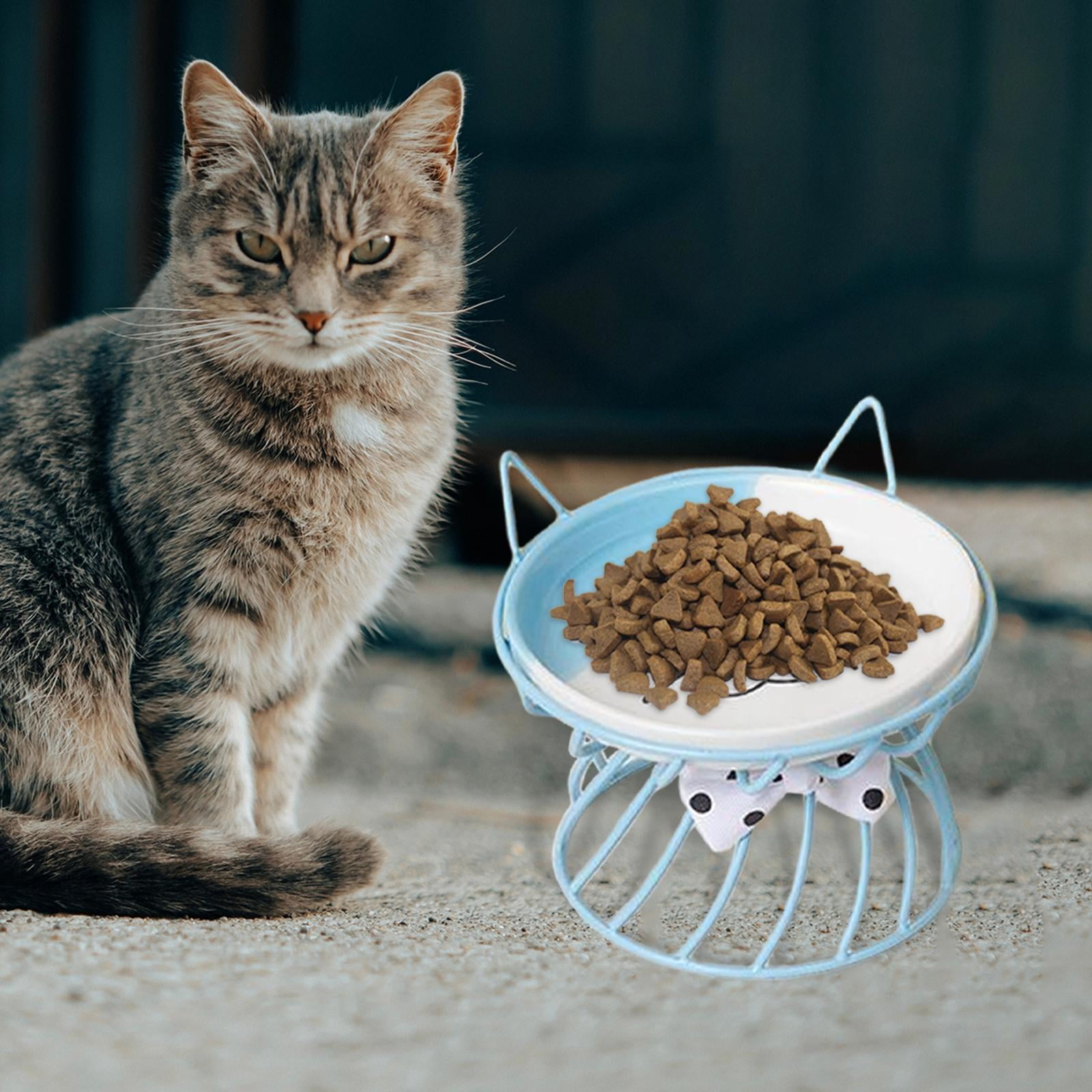 Fzaqwen Pet Ceramic Bowl Pet Bowl Cat Raised Elevated Feeder Cat Dog B Blue