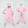 thumbnail image 1 of Pijama de unicornio de ardilla para niños, mono de invierno, manta de dibujos animados de animales, disfraz de bebé xuanjing unisex, 1 of 2