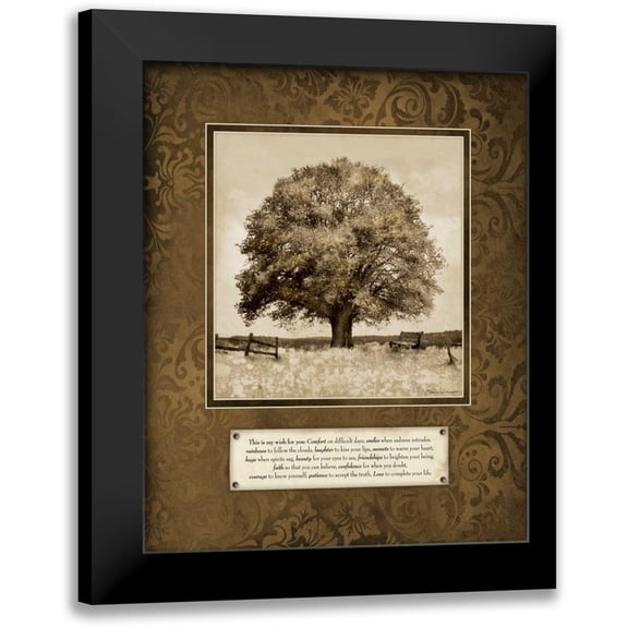 Marrott, Stephanie 12x14 Black Modern Framed Museum Art Print Titled - My Wish