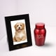 thumbnail image 5 of EeaseMX Cenizas de mascotas Cremation Urna Dog Selled Cinerary Casketo Acero inoxidable Frasco de cenizas, 5 of 8