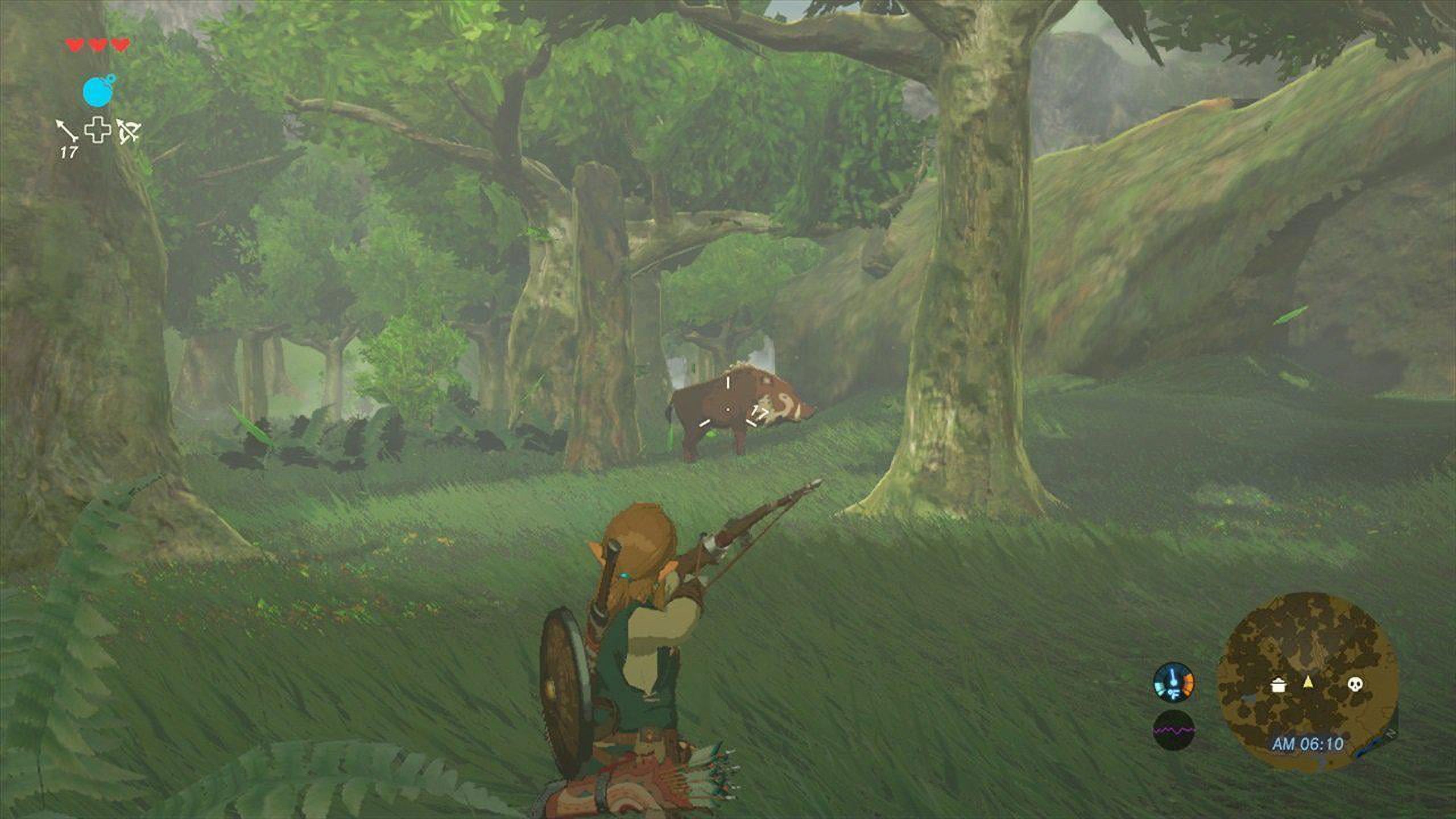 The Legend of Zelda: Breath of the Wild - Nintendo Switch - image 14 of 17