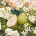 thumbnail image 3 of Perfume Jo Malone English Pear & Freesia Cologne 100 mL Unisex, 3 of 3