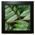 thumbnail image 1 of nature photography Black Square Frame Picture Wall Tabletop, 1 of 3