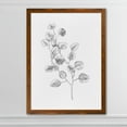 thumbnail image 2 of Wexford Home Eucalyptus Sketch IV-Framed - Maple - 16X22, 2 of 4