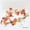 #2, variant on Fall Maple Leaf Garland with Red Berries,78in Plastic Autumn String Lights for Halloween Thanksgiving Home Mantel Decor