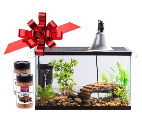 sugar glider care information