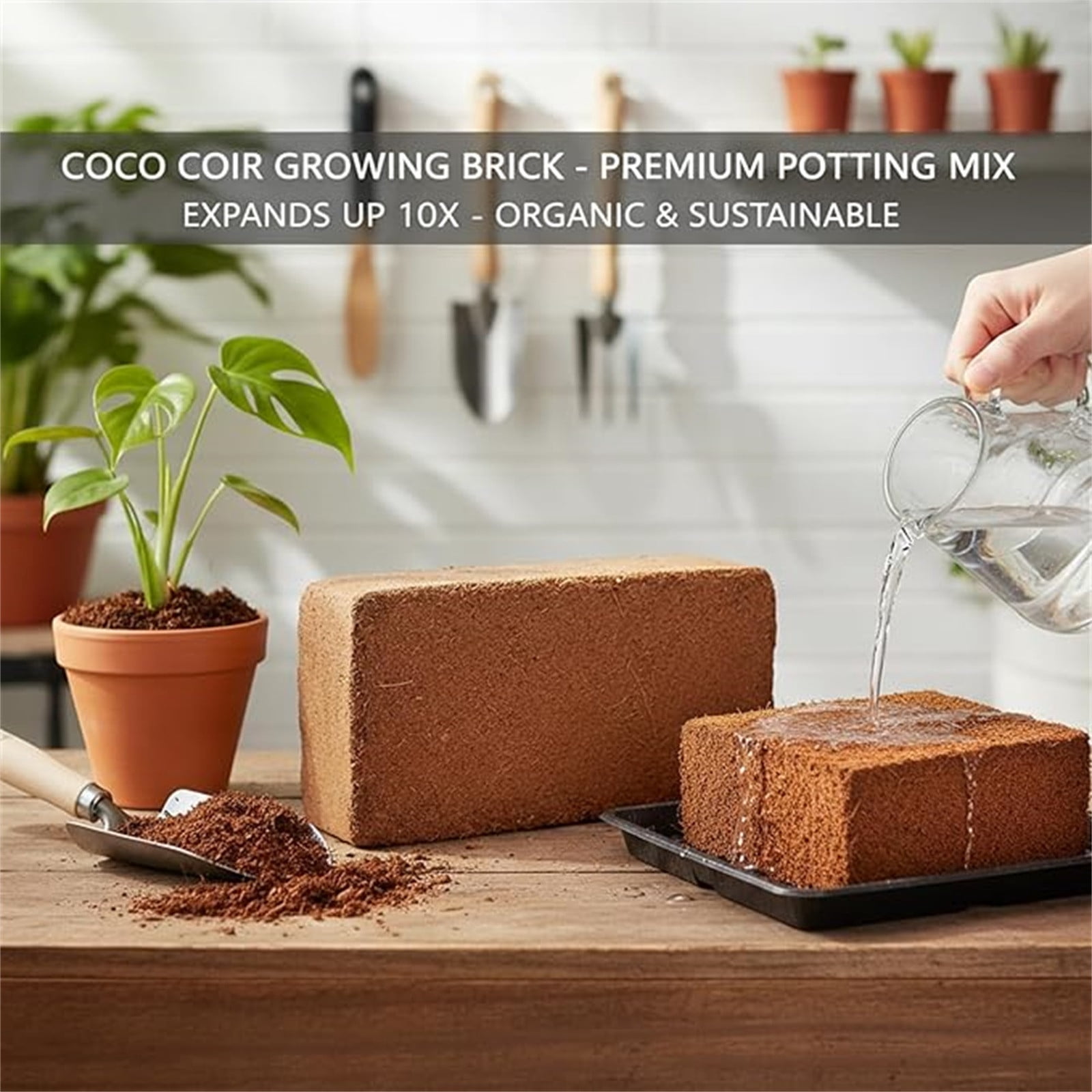 Xheghe Coconuts Brick Organic Soil - Versatile Growing Medium for Vegetables, Flowers & Plants - Ideal for Indoor & Outdoor Gardening