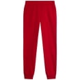 thumbnail image 5 of Southpole Boys Sweatpants - 2 Pack Cozy Fleece Joggers for Boys with Drawstring Waistband (Size: 8-20), 5 of 7