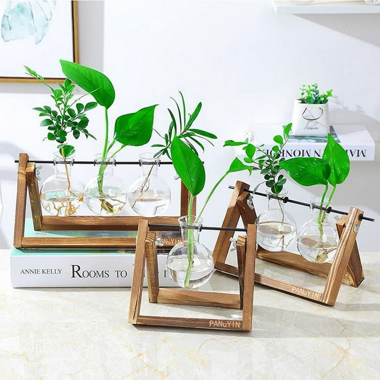 Glass and Wood Vase Planter Terrarium Table Desktop Hydroponics