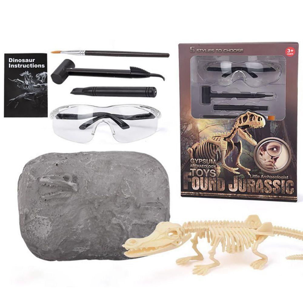 Discover 3 Dino Fossils NEW Details about   Dinosaur Excavation Kit Entertains Kids Ages 6 