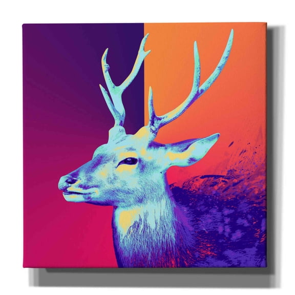 Epic Graffiti 'A Deer', Canvas Wall Art, 37"x37"