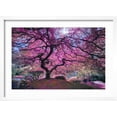 thumbnail image 2 of Art.com Pink Tree 2 Photographic Print by Moises Levy, White Frame Wall Art, 23" x 17", 2 of 5
