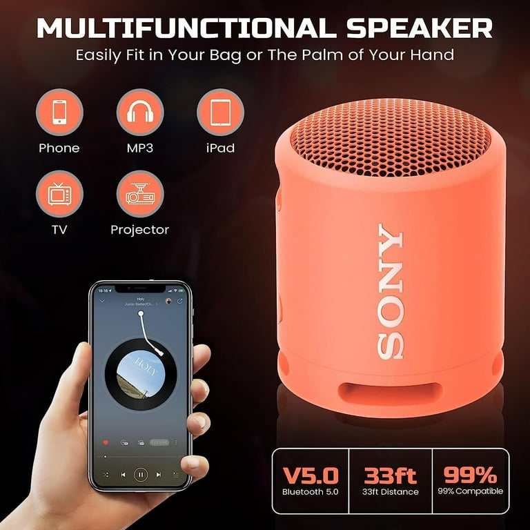 Sony hotsell hand speaker
