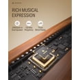 thumbnail image 5 of Donner DDP-80 PLUS Digital Piano 88 Key Weighted Keyboard, Supports USB-MIDI and Headphones, with Three Pedal, Power Adapter, Brown, 5 of 7