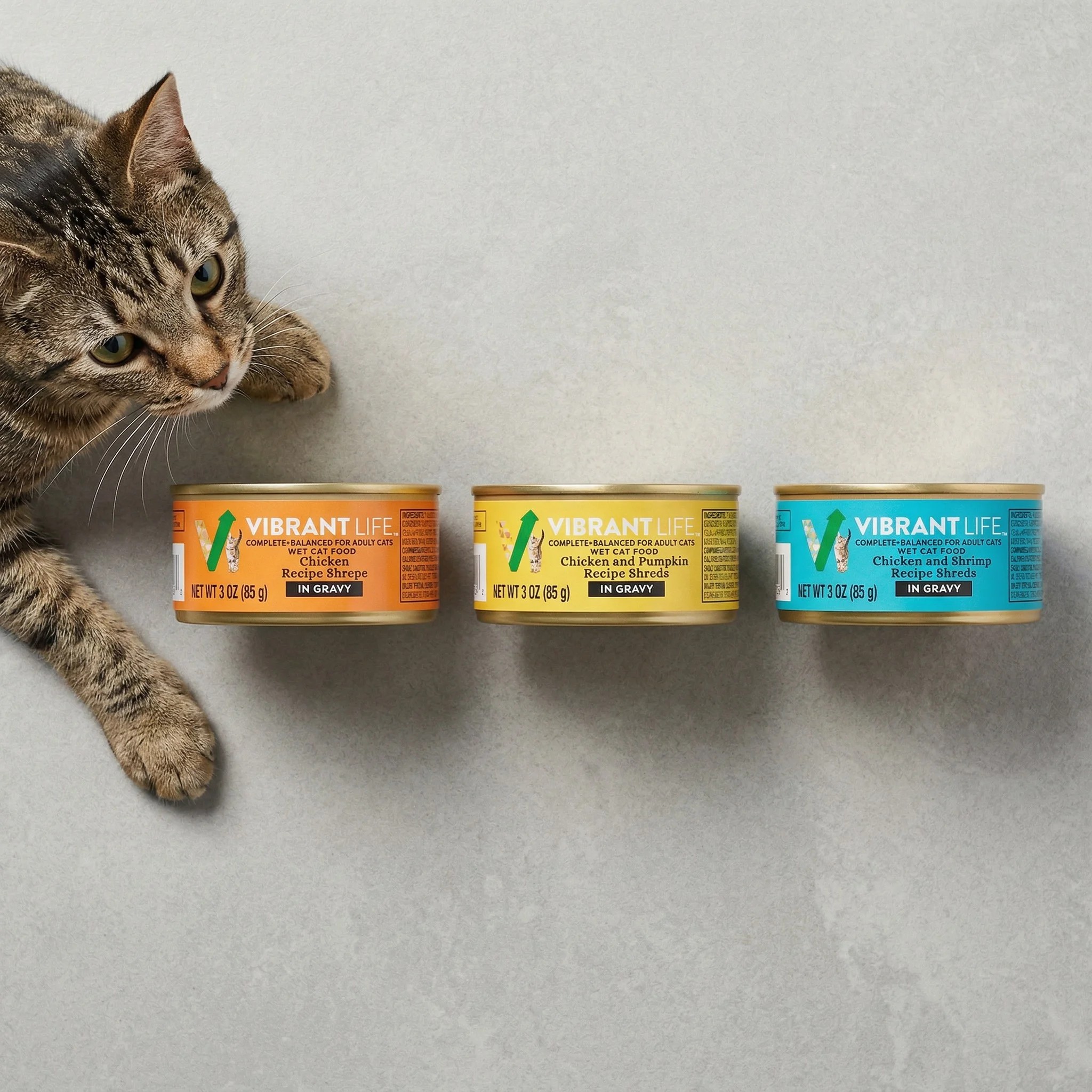 Vibrant Life Chicken, Shrimp & Pumpkin Shreds Wet Cat Food, 12 Cans photo 2