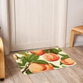 thumbnail image 6 of Peach Polyester Non-Slip Machine Washable Outdoor Carpet Door Mat - Door Rug - Door Rugs, 6 of 6