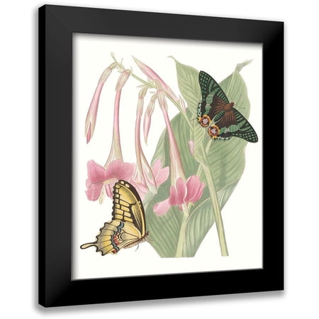 Vision Studio 12x14 Black Modern Framed Museum Art Print Titled - Les Papillons II