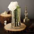 thumbnail image 2 of Efavormart 2 Pack 10" Gold Striped Cylinder Vases Glass Vases Flower Centerpieces, 2 of 10