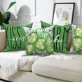 thumbnail image 5 of St Patricks Day Throw Pillow Covers 18x18 Set of 4,Green Lucky Shamrock Decorative Pillow Cases for Bedroom Sofa Couch, 5 of 6
