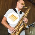 thumbnail image 2 of EeaseCA 10Pcs Saxophone Reeds Saxophone Accessories Whistle Tool for Beginners Player, 2 of 7
