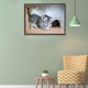 thumbnail image 5 of Kit de pintura de diamante 5D, taladro redondo completo de animales, imágenes de mosaico DIY de diamantes de imitación Tmvgtek decoración de arte en el hogar, 5 of 9