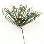 Holiday Time 36 Green Wire Warm White Led Lights