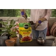 thumbnail image 6 of Miracle-Gro Potting Mix, 6 of 6