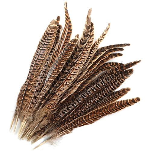 20pcs 10-12 inches Black Colored Natural Pheasant Tail Feathers for Crafts Pheasant Tails DIY Hats Wedding Party Decorations