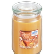 Mainstays Mulled Cider Single-Wick Jar Candle, 20 oz.