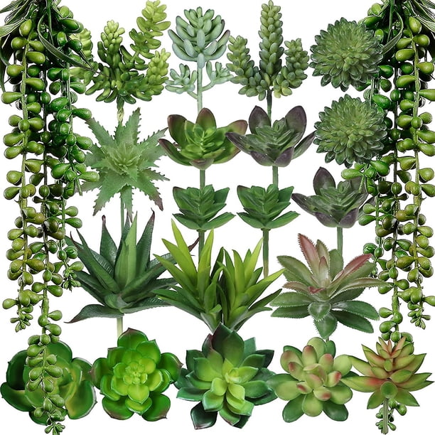 21 piezas Surtido de plantas suculentas artificiales Sin maceta Pequeña cadena verde de perlas Cactus Aloe Selecciones Suculentas falsas a granel para suculentas Corona de jardín F