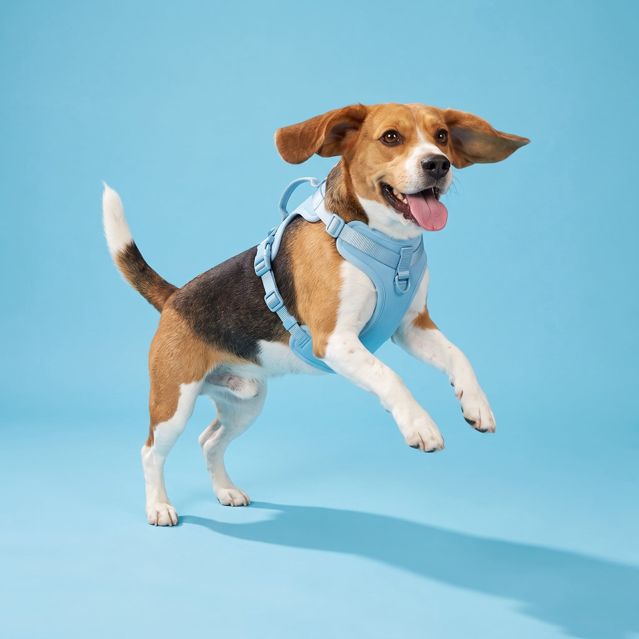 Vibrant Life Neoprene Comfort Control Dog Harness, Soft Blue, Medium