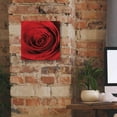 thumbnail image 5 of Epic Graffiti 'The Red Rose II' by Lori Deiter, Canvas Wall Art, 12"x12", 5 of 8