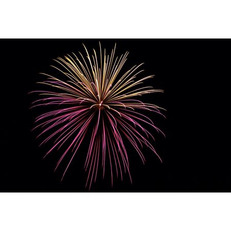 Opteka LTX-80 Lightning/Gunshot/Fireworks & Motion Sensor/Security/Wildlife Trigger for Canon EOS & Nikon Digital SLR Cameras