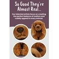 thumbnail image 4 of Animal de peluche Living Nature Cocker Spaniel de 23 cm, regalo para niños, 4 of 8