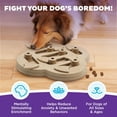 thumbnail image 2 of Challenge Slider Treat Puzzle Enrichment Toy Level Advanced Multicolo, 2 of 8