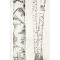 thumbnail image 2 of Bailey, Ann 17x24 White Modern Wood Framed Museum Art Print Titled - Birches 2, 2 of 4