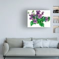thumbnail image 3 of Wendy Edelson 'Violets Bunny' Canvas Art, 3 of 4