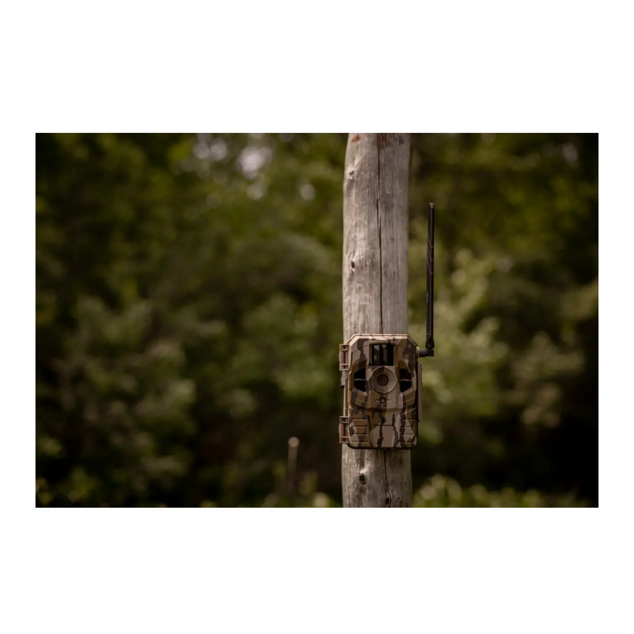 Stealth Cam Connect Cellular Trail Camera (Verizon) Security and Power Bundle (2-Pack) - image 5 of 9