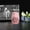 Pink#2, variant on Pet Remains Stainless Steel Urn Jar Altar Urns Pet Lover Dog Remains Ashes Memorial Tree Of Jar