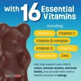thumbnail image 4 of YUM-V'S Chocolate Bears Chewable Multivitamins for Kids with 16 Vitamins and Minerals, 60 Count, 4 of 7