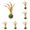 Green 6PCS, variant on Cat Toys Feather Cat Toys for Cats Lick Chew Toys Teeth Cleaning Cat Toys Cat, 13x3 cm, Green 1PCS