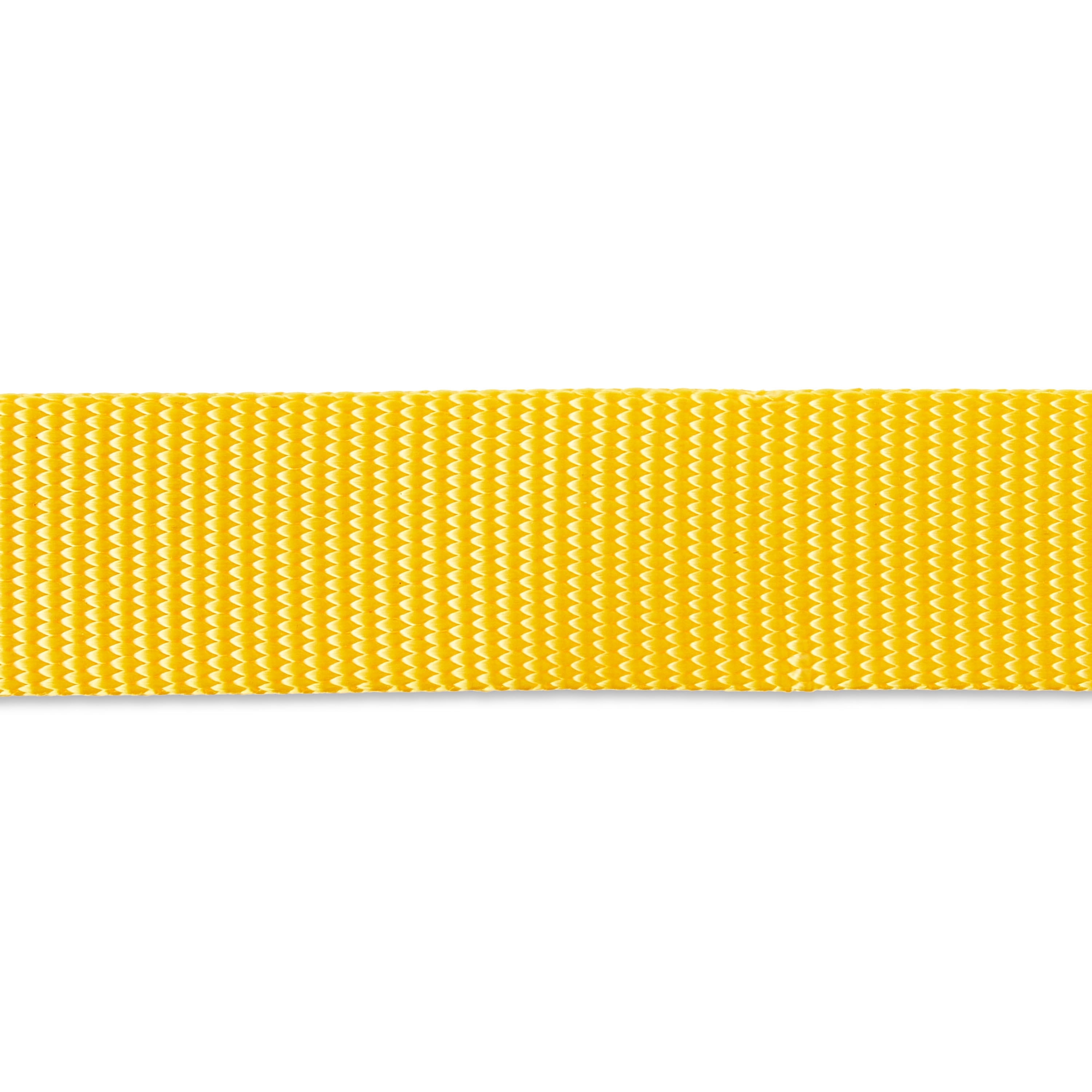 Vibrant Life 4' Polyester Standard Dog Leash, Yellow
