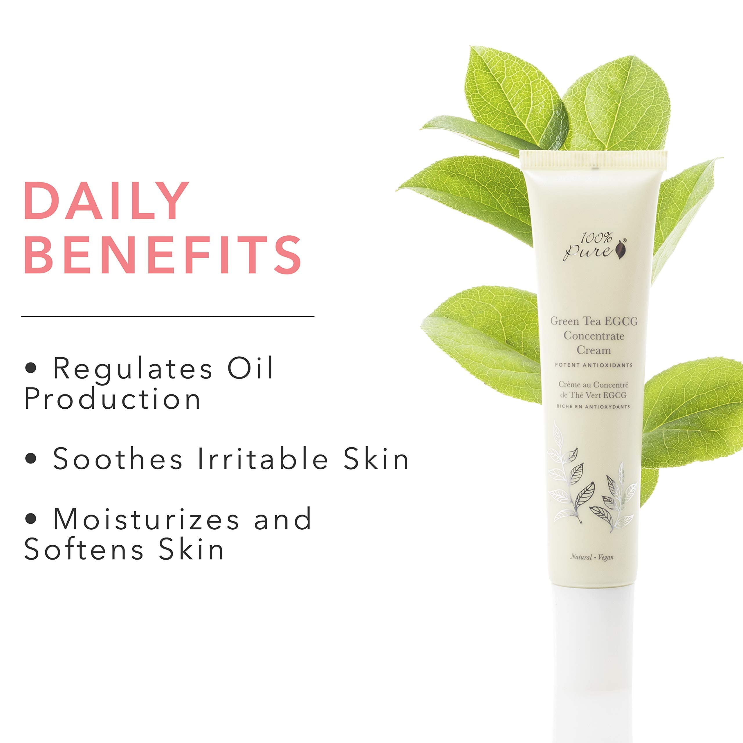 100% PURE Green Tea EGCG Concentrate Face Cream Anti-Aging Antioxidant Boost with Squalene & Caffeine Lightweight Daily Hydrating Facial Moisturizer & Skin Care for Women & Men - 1.4 Oz